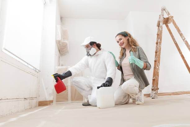 Best Forensic Mold Investigation  in Blue Springs, MO